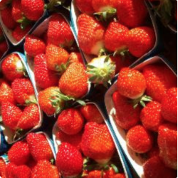 fraises pays de Vias 250g